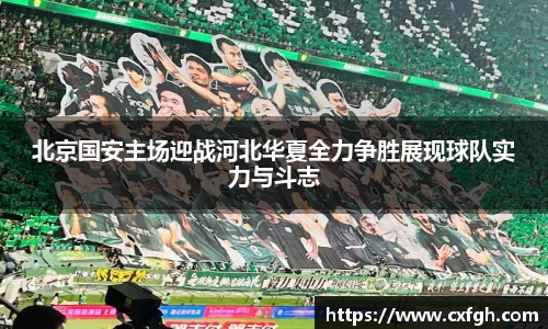 北京国安主场迎战河北华夏全力争胜展现球队实力与斗志
