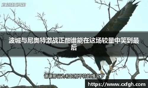 波城与尼奥特激战正酣谁能在这场较量中笑到最后