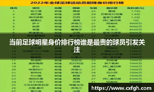 当前足球明星身价排行榜谁是最贵的球员引发关注
