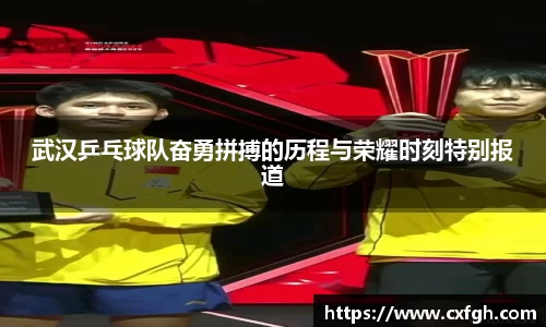 武汉乒乓球队奋勇拼搏的历程与荣耀时刻特别报道