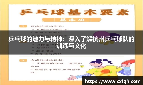 乒乓球的魅力与精神：深入了解杭州乒乓球队的训练与文化